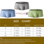 Men's Sexy Underwear Low waist Briefs U Pouch Boxers Striped Shorts Underpants - Image 8