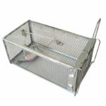 USA Mouse Trap Rat Trap Rodent Trap Live Catch Cage, Easy to Set Up and Reuse - Image 11