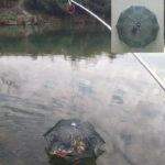 Fishing Bait Trap Crab Net Crawdad Shrimp Cast Dip Cage Fish Minnow Foldable NEW - Image 12