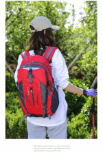 40L Men Women Travel Backpack Rucksack Camping Laptop Hiking School Book Bag USA - Image 19