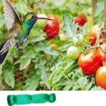 33FT Anti Bird Netting Pond Net Protection Tree Crops Plants Fruits Garden Mesh - Image 16