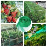33FT Anti Bird Netting Pond Net Protection Tree Crops Plants Fruits Garden Mesh - Image 17