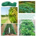 33FT Anti Bird Netting Pond Net Protection Tree Crops Plants Fruits Garden Mesh - Image 8