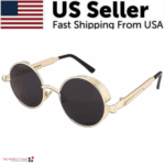 Retro Round Polarized Sunglasses Men Women Vintage Gothic Steampunk Glasses - Image 6