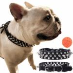 Spiked Studded Leather Dog Collar Rivets Pet Small Large Cat Pit Bull Adjustable - Image 24