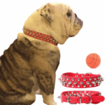 Spiked Studded Leather Dog Collar Rivets Pet Small Large Cat Pit Bull Adjustable - Image 25