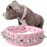 Spiked Studded Leather Dog Collar Rivets Pet Small Large Cat Pit Bull Adjustable - Image 26