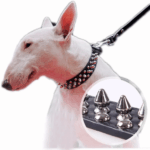 Spiked Studded Leather Dog Collar Rivets Pet Small Large Cat Pit Bull Adjustable - Image 16