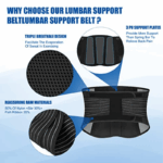 Lower Back Support Brace Lumbar Waist Belt Double Pull Breathable Belt Men Women - Image 11