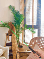 3 Packs 900Mile Laser Pointer Pen Green Blue Red Light Visible Beam Lazer - Image 13