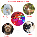 LED Adjustable Dog Collar Blinking Flashing Light Up Glow Pets Safety Waterproof - Image 18