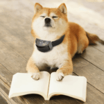 Automatic Anti Bark Barking Dog Shock Control Collar Device Large Medium Small - Image 6