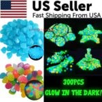 300PCS Glow in The Dark Pebbles Garden Glowing Rocks Fish Tank Luminous Stones - Image 4