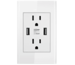 Dual USB Wall Outlet Port 15A Power Socket Charger AC Receptacle Plate Panel 110 - Image 14