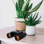 Binoculars 30x60 Zoom Outdoor Travel Compact Folding Telescope Hunting Day/Night - Image 9