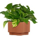 8in Gemeni Terra Planter, Terracotta - Image 3