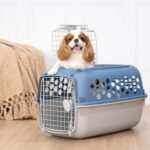 Multicolored 24 in Plastic Double Door Dog and Cat Kennel with Top Opening - Image 4