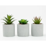 (4 pack) 3-Piece Succulent Set in Gray Cement Planters - Image 2
