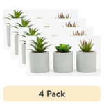 (4 pack) 3-Piece Succulent Set in Gray Cement Planters