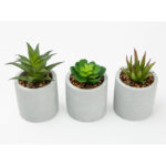 (4 pack) 3-Piece Succulent Set in Gray Cement Planters - Image 3