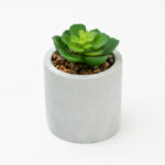 (4 pack) 3-Piece Succulent Set in Gray Cement Planters - Image 5
