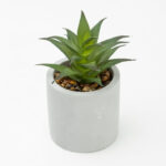 (4 pack) 3-Piece Succulent Set in Gray Cement Planters - Image 6