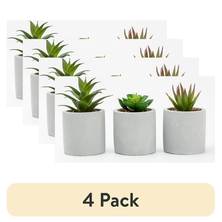 d01027hascv.jpg (4 pack) 3-Piece Succulent Set in Gray Cement Planters - Image 1