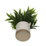 (4 pack) 8" Artificial Tealeaf in White Two-Tone Ribbed Ceramic Pot - Image 2