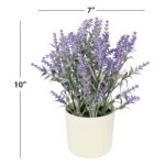 11-inch x 4-inch Artificial Lavender Plant in White Pot, Purple, for Indoor Use, by - Image 6