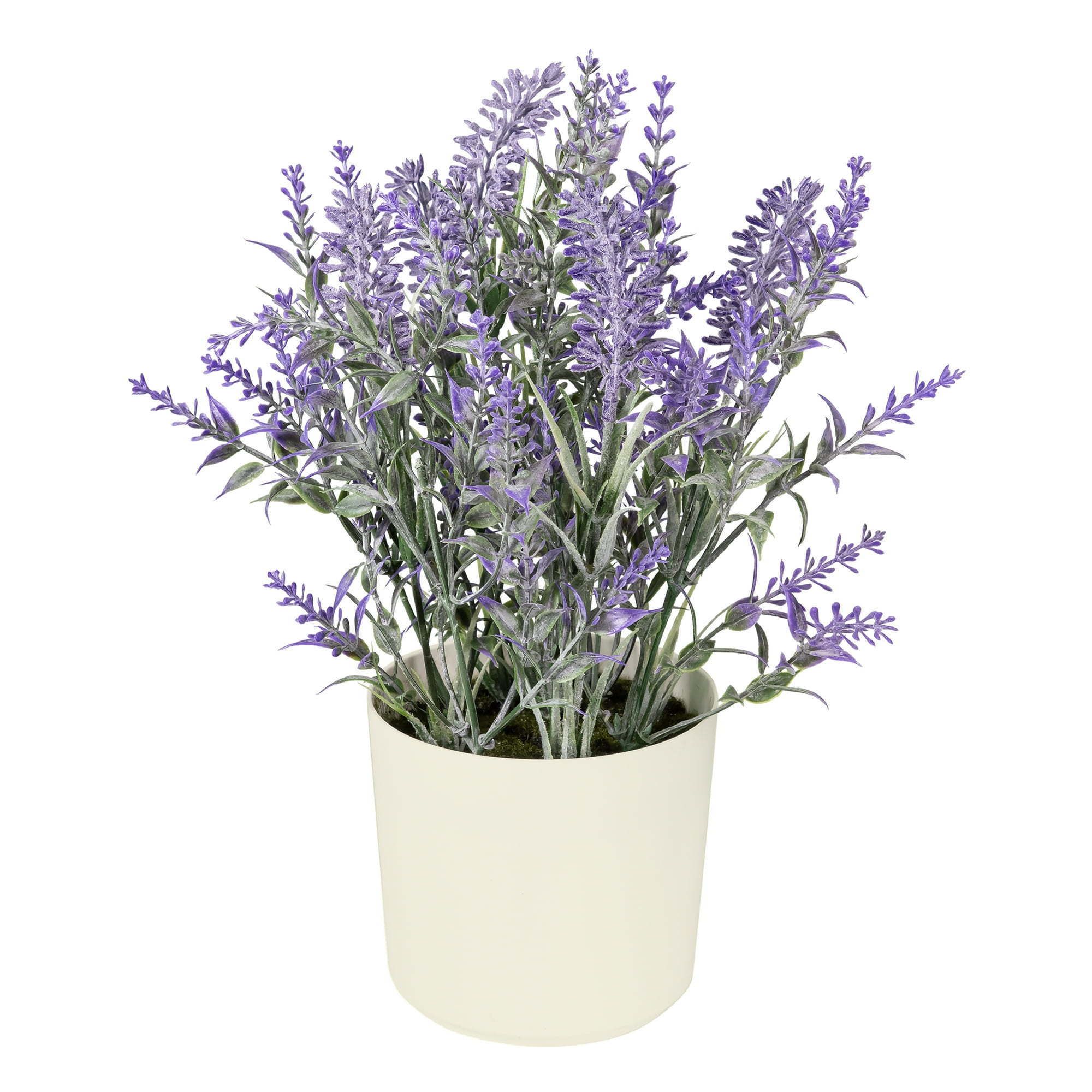 d01027hicbw.jpg 11-inch x 4-inch Artificial Lavender Plant in White Pot, Purple, for Indoor Use, by - Image 1