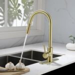 Kitchen Faucet with Pull Down Sprayer