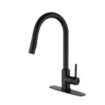 Kitchen Faucet with Pull Down Sprayer - Image 31