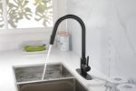 Kitchen Faucet with Pull Down Sprayer - Image 19