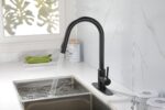 Kitchen Faucet with Pull Down Sprayer - Image 20