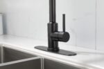 Kitchen Faucet with Pull Down Sprayer - Image 22