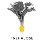 Moisturizing Lotion Customized with our concentrated Moisture Enhancer Booster. Great for all skin types - even oily skin. - Image 8