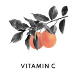 Age Management Treatment Serum customized with Concentrated Boosters - Image 12