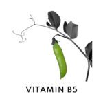 Age Management Treatment Serum customized with Concentrated Boosters - Image 13