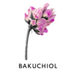 Age Management Treatment Serum customized with Concentrated Boosters - Image 14