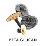 Calming Serum customized with Concentrated Boosters - Image 14