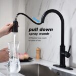 Single Handle Pull Down Kitchen Faucet with Dual Function Sprayhead - Image 4