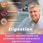 CO2 Extracted Milk Thistle Seed Oil 100% Potent Liver Support Milk Thistle Oil Rich in Silymarin Zinc Omegas Tocopherols Pure Milk Thistle Drops 2 Fl Oz - Image 5