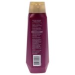 Moisturize and Replenish Conditioner - Image 2
