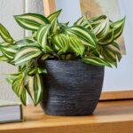 (4 pack)4.5" Textured Matte Ceramic Pot, Black, 1 - Piece - Image 3