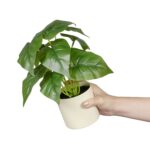 (3 pack) 10-inch x 4-inch Artificial Philodendron Leaf Plant in White Pot, Green, for Indoor Use, by - Image 5