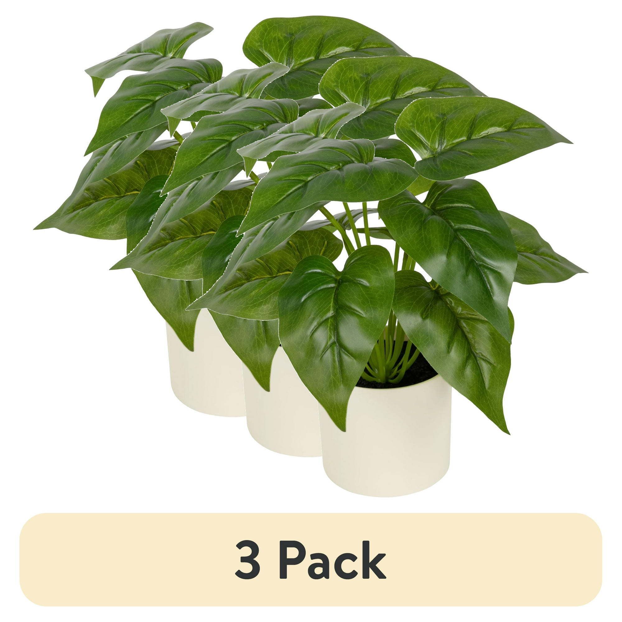 d0102x3mfh7.jpg (3 pack) 10-inch x 4-inch Artificial Philodendron Leaf Plant in White Pot, Green, for Indoor Use, by - Image 1