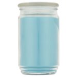 Garden Rain Single-Wick Large Glass Jar Candle, 20 oz - Image 2