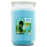 Garden Rain Single-Wick Large Glass Jar Candle, 20 oz