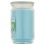 Garden Rain Single-Wick Large Glass Jar Candle, 20 oz - Image 3