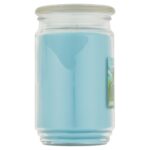Garden Rain Single-Wick Large Glass Jar Candle, 20 oz - Image 4
